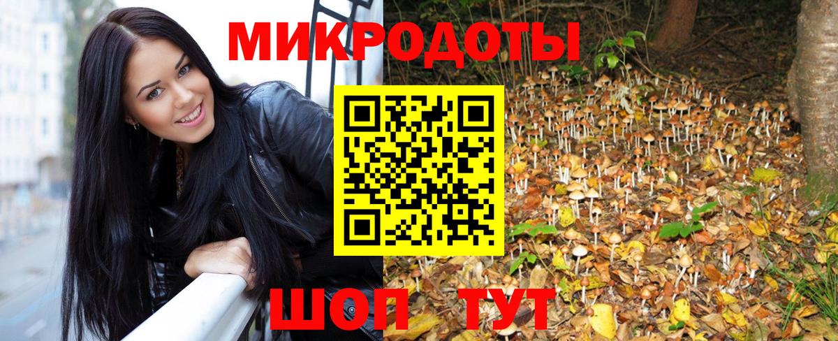 Псилоцибиновые грибы GOLDEN TEACHER  Вход с VPN  Галлюциногенные грибы ЛСД  Кудымкар 